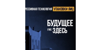 Конфереция Galdi по яичному меланжу